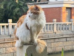 -荔湾博物馆