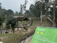 -碧峰峡风景区