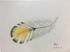 -鼎画艺术机构(贵都店)