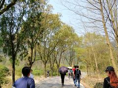 -天台山赤城山景区