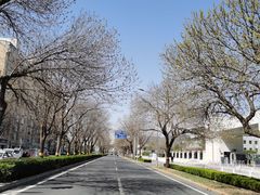 -顿顿吉祥·长安味道(启迪香山店)