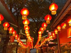 -巴倒烫陆派火锅山庄(南山总店)