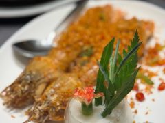 -協成海鮮火鍋(老店)