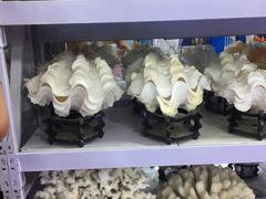 -东戴河风景区-止锚湾