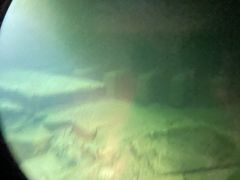 -白鹤梁水下博物馆