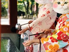 -东京浅草和服体验江户和装工房雅(浅草本店)