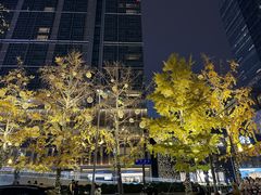 -蜀九香火锅(彩虹店)