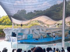 -泉州海丝野生动物世界