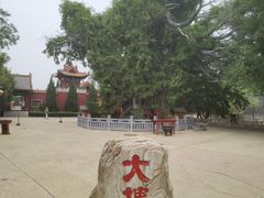 -大槐树寻根祭祖园