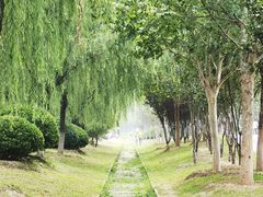 -永定河休闲森林公园