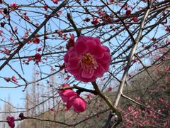 -东坡赤壁风景名胜区