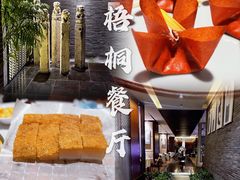 -梧桐餐厅(泉城路店)