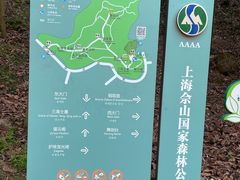 -上海佘山国家森林公园天马山园