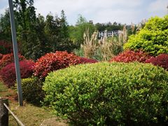 -贵阳市花溪国家城市湿地公园