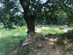 -西安秦岭野生动物园