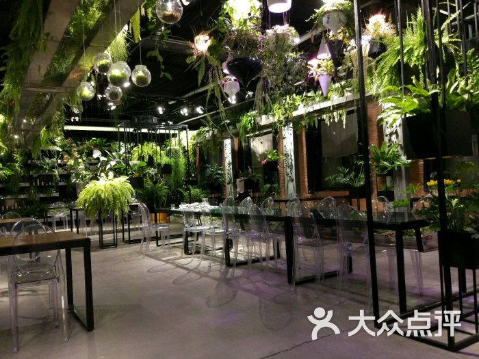 botanica植物园图片 第2413张