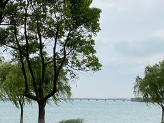 -漕湖湿地公园