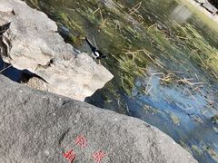 -济南植物园