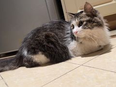 -乖乖乐动物医院(小汤山分院)