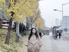 -两江幸福广场