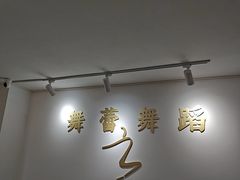 -舞蕾舞蹈·专注中国舞18年(永定路校区)