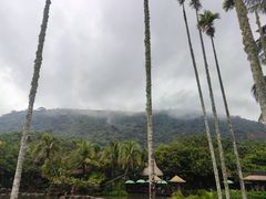 -呀诺达热带雨林
