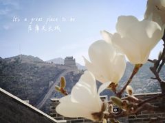 -居庸关长城