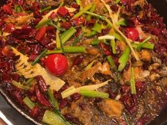 -老板恋上鱼(印象城店)