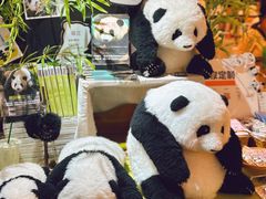 -轩客会(熊猫书店)