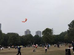 -重庆彩云湖湿地公园