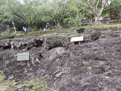 -海口火山口国家地质公园