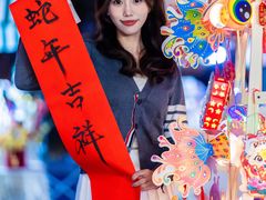 -武汉光谷K11