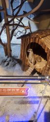 -未来动物城动物主题公园(大悦城店)