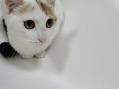 -宠颐生斯嘉宠物医院·急重症·心内科(谷阳北路分院)