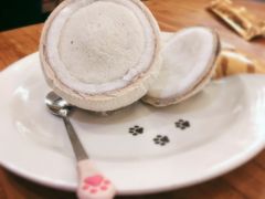 -more than meow吴止猫主题餐厅(承德 中船汇店)