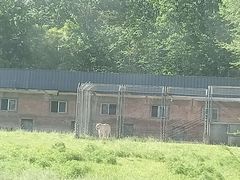 -西安秦岭野生动物园