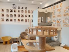 -有喵·猫咖·狗咖·40+猫狗有小奶狗(岗厦店)