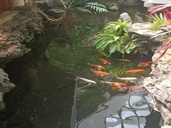 -广州白天鹅宾馆