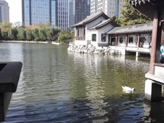 -紫竹院公园冰场