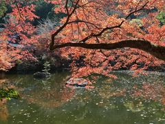 -醍醐寺