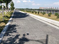 -丁香湖公园