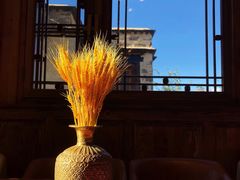 -松赞拉萨林卡酒店