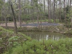 -合肥滨湖国家森林公园