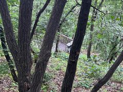 -帽儿山国家森林公园