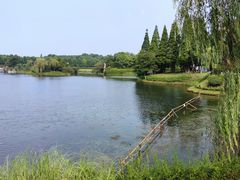 -宜兴龙背山森林公园