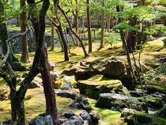 -西芳寺(苔寺)