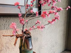 -青藤茶馆(凤起路店)