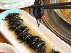 -美未居·老字号·地道顺德菜·桑拿鸡·鱼生(容桂店)