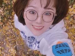 -汤旺河林海奇石景区