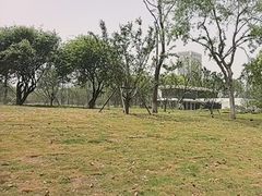 -后襄河公园